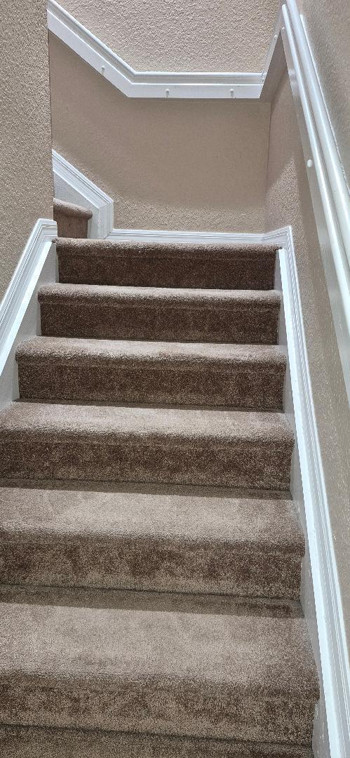 Building Photo - 175 E Bay Cedar Cir