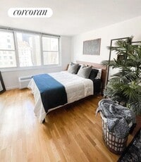 Building Photo - 255 W 94th St