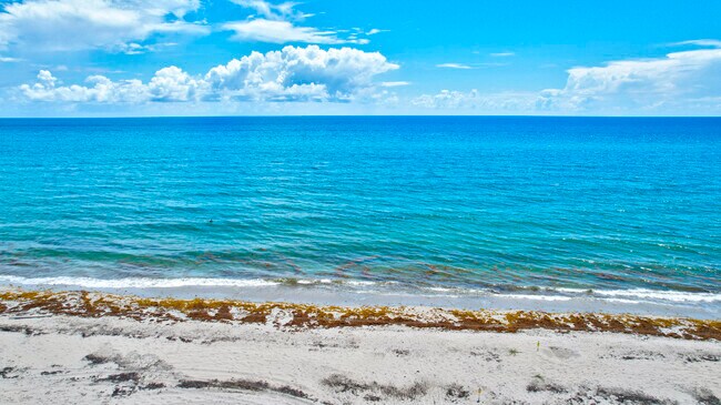 Building Photo - 2909 S Ocean Blvd