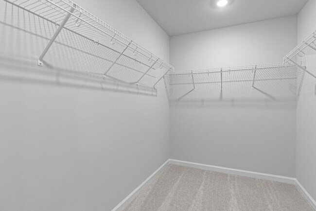 Building Photo - 2203 Cape May Ln