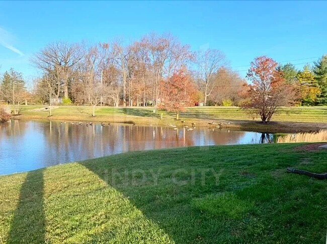 Building Photo - 4532 Golden Meadow Ct