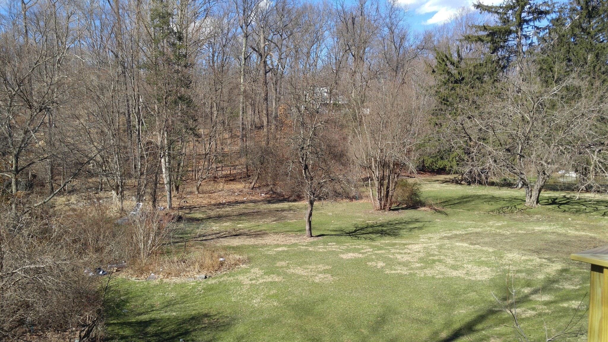 Backyard - 275 croton dam road