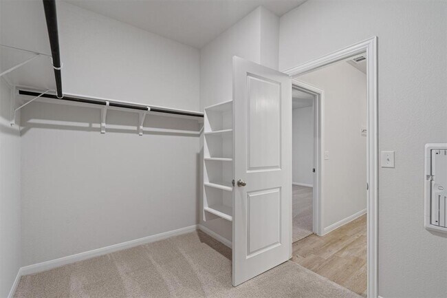 Building Photo - 313 Timber Brook Dr