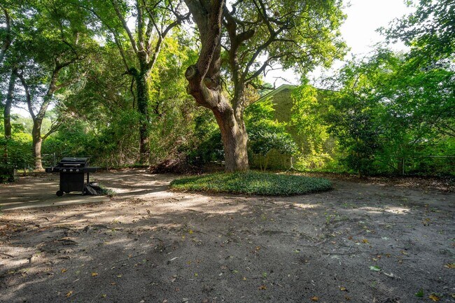 Building Photo - 3BR/2BA Home with Fireplace and Fenced Yard in Mt Pleasant