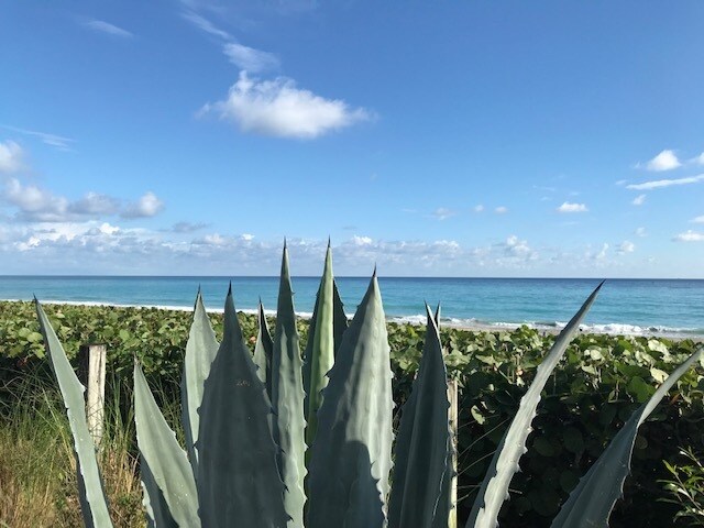 Building Photo - 1420 Ocean Way