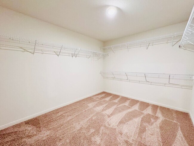 Building Photo - Beautiful Home in Converse!