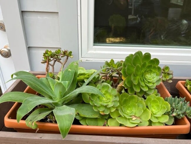 Building Photo - Recently Constructed, Fully Detached, Garden Unit, Utilities Included**Open House**