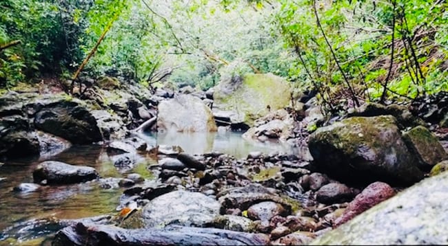 Building Photo - 99-1790-1790 Hoapono Pl