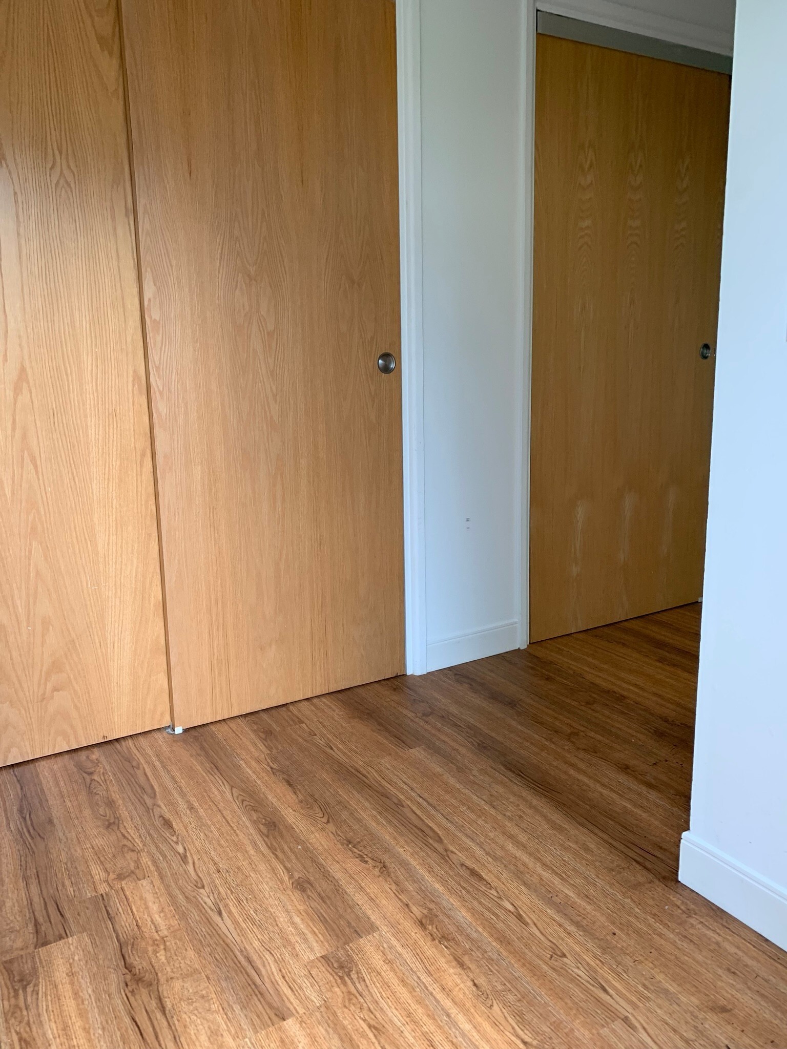Foyer with two Double closets. - 1049 Danby Rd