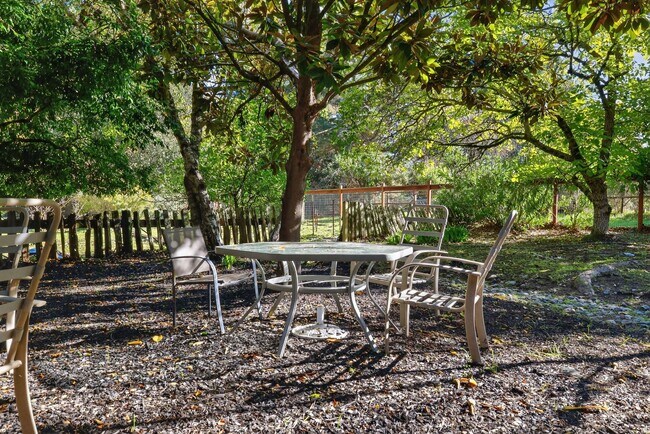 Building Photo - Charming 3-Bed / 2-Bath Retreat on Over an Acre in Sebastopol