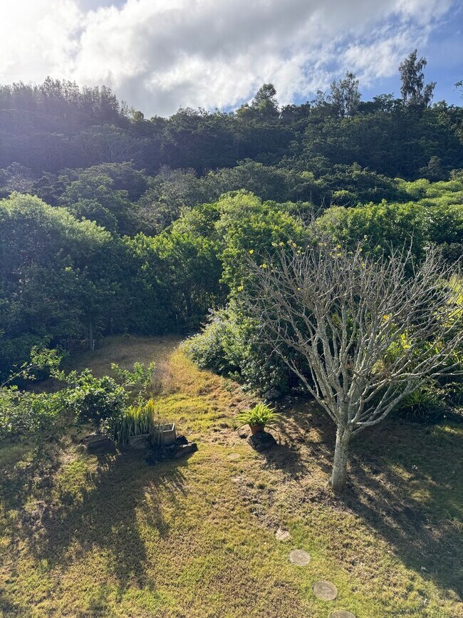 Building Photo - Prime location, large custom home near Wai...