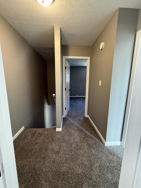 Building Photo - 1240 Clear Ridge Ln