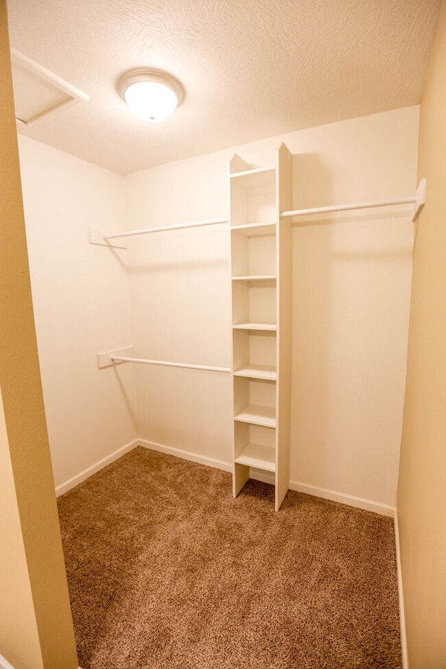 Building Photo - *--Walking Distance to MSU 4 bed 2.5 bath home and office with huge yard in the Phelps Grove Neig...