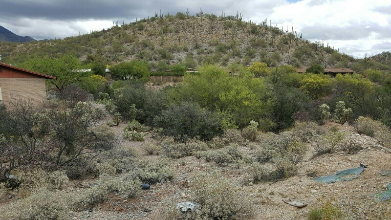 Building Photo - 5180 N Kolb Rd