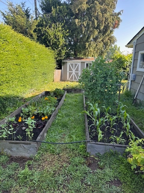 Garden Area - 441 Howard Ave