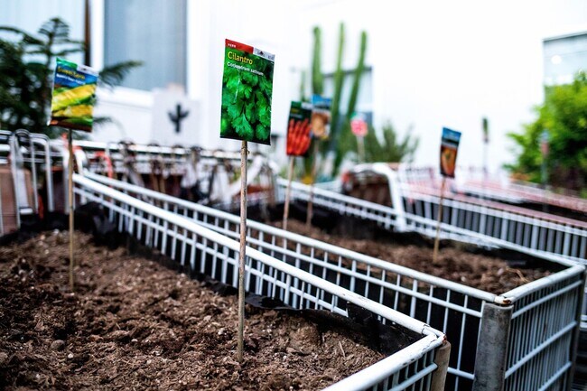 Building Photo - Community @ Mi Apartamento