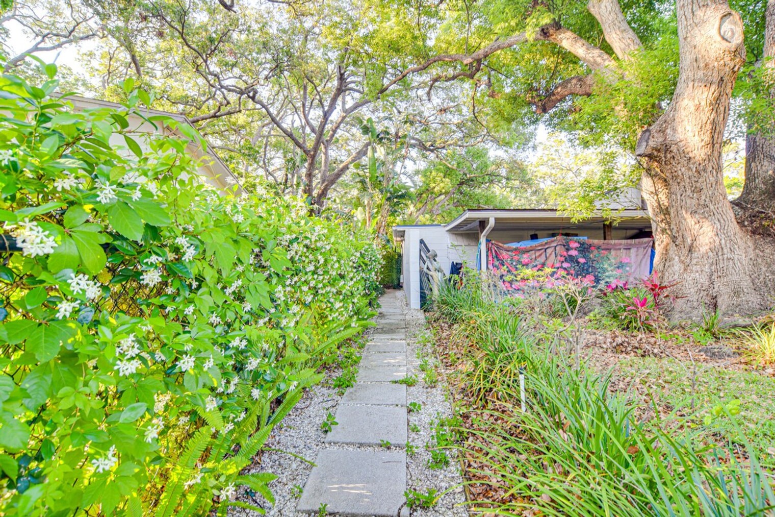 Building Photo - 1409 Maple St