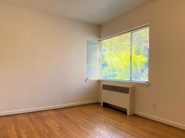One Bedroom Bedroom - Elite Court Apartments