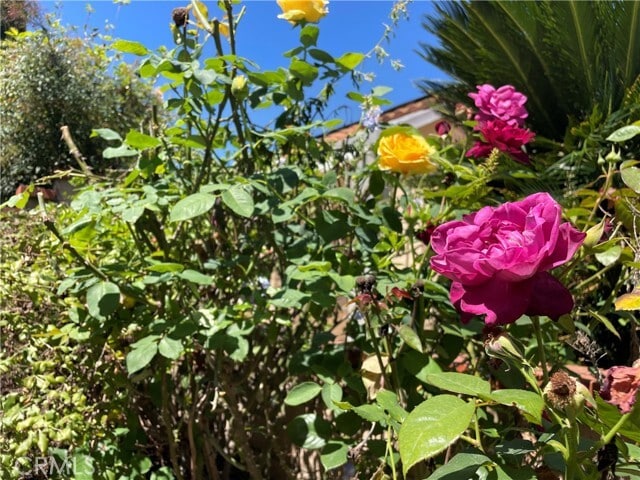 Building Photo - 955 Longview Dr