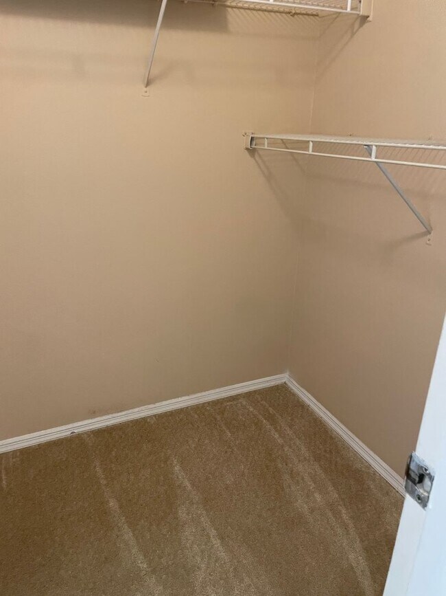 Building Photo - 1 story 3/2 in Meadow Woods with full sized washer and dryer included