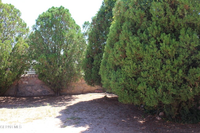 Building Photo - 11684 Norman Montion Dr