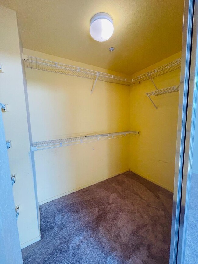 Building Photo - 596 Shoal Cir