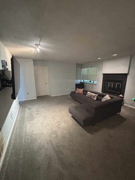 Basement living room - 596 Wild Flower Glade