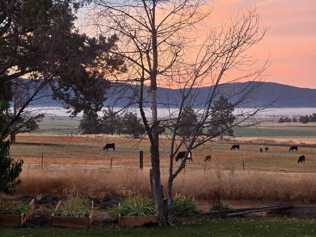 Building Photo - 23131 N Poe Valley Rd