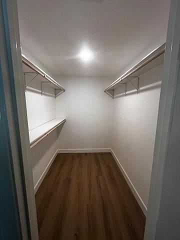 Building Photo - 1128 Zelda Dr