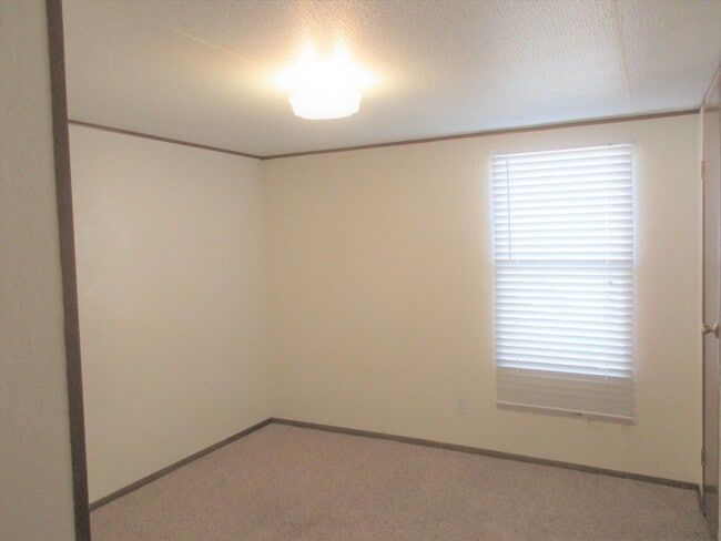 Building Photo - Super Cute & Clean!