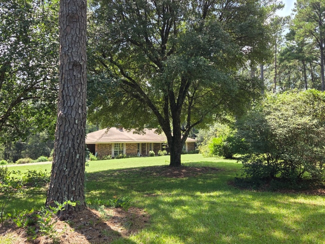 Building Photo - 253 Roy Tucker Rd