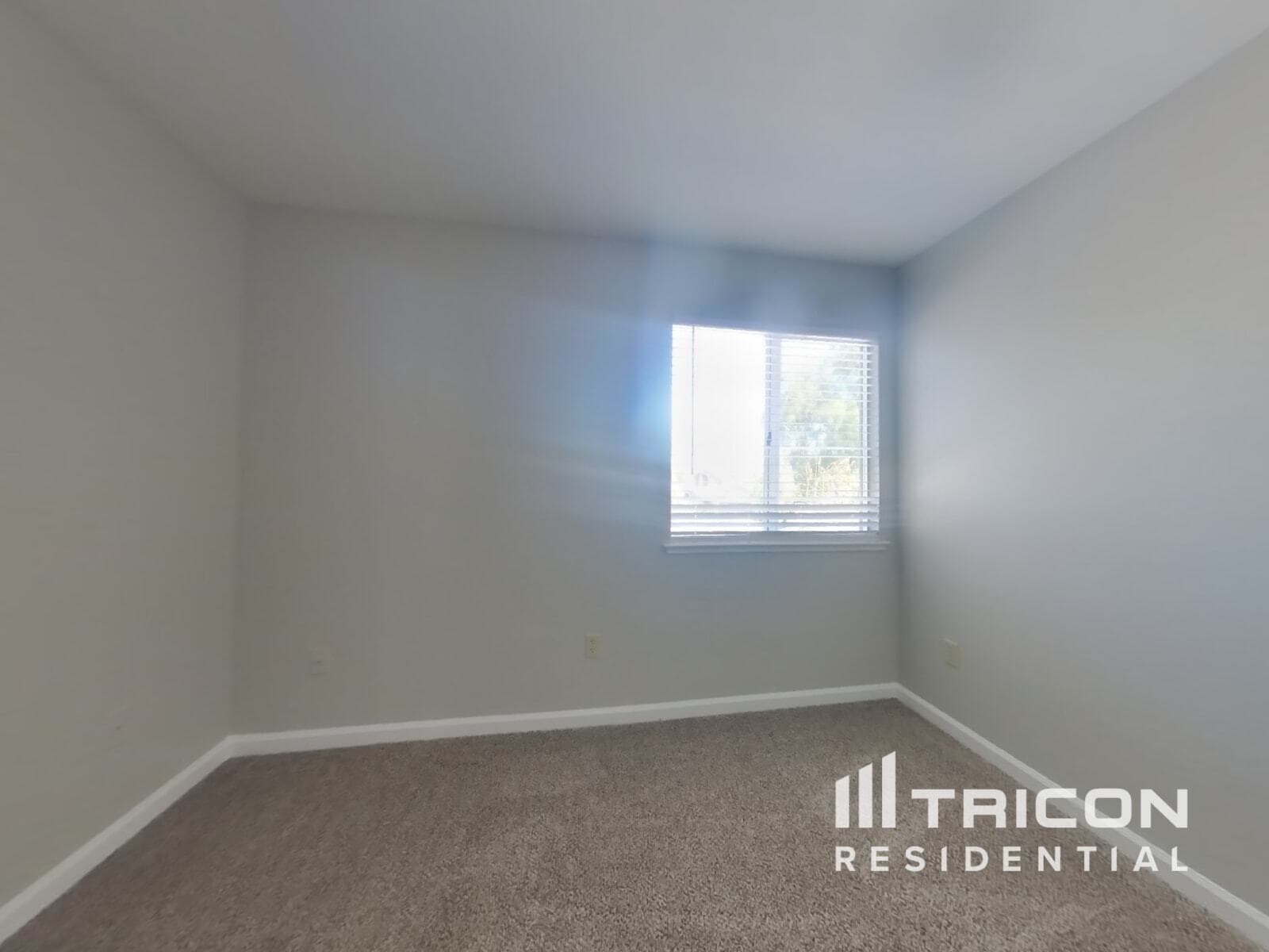 Building Photo - 4684 Cove Ln