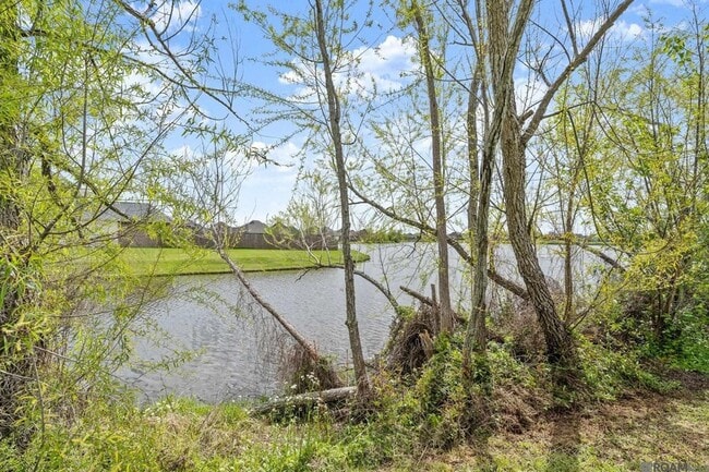 Building Photo - 5176 Wildwood Dr
