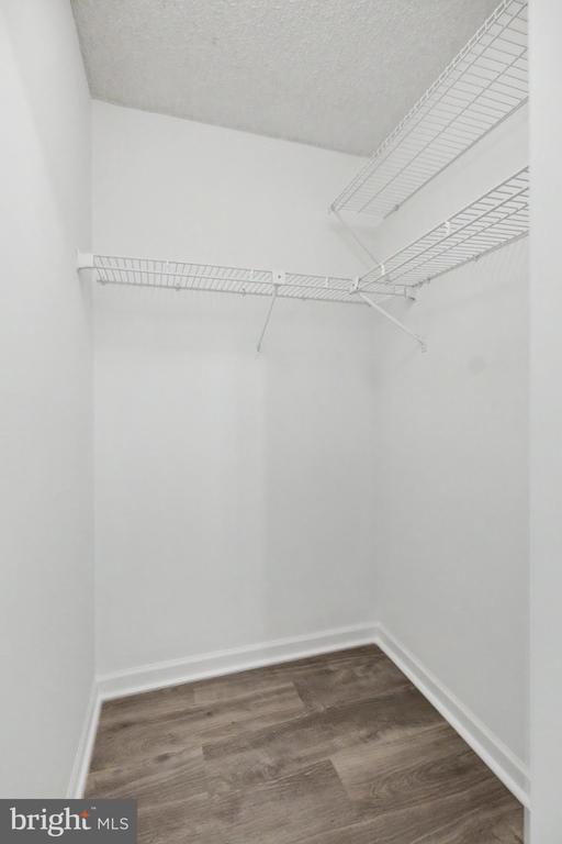 Building Photo - 12102 Green Leaf Ct