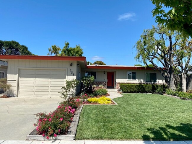 Primary Photo - South Salinas 3BR/ 2BA Charmer!