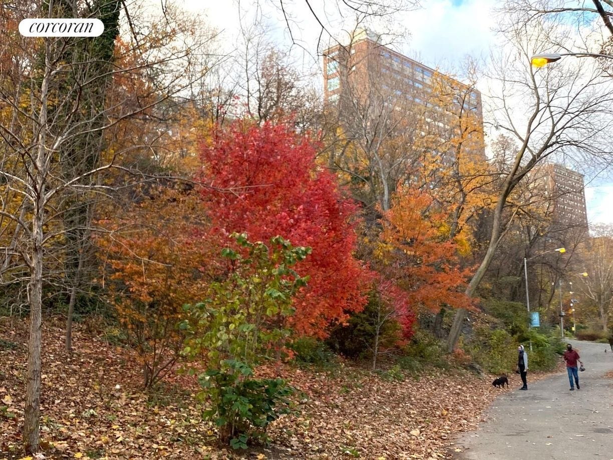 Building Photo - 250 Manhattan Ave