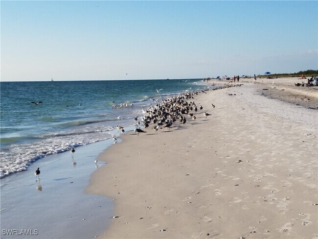 Building Photo - 829 W Elkcam Cir