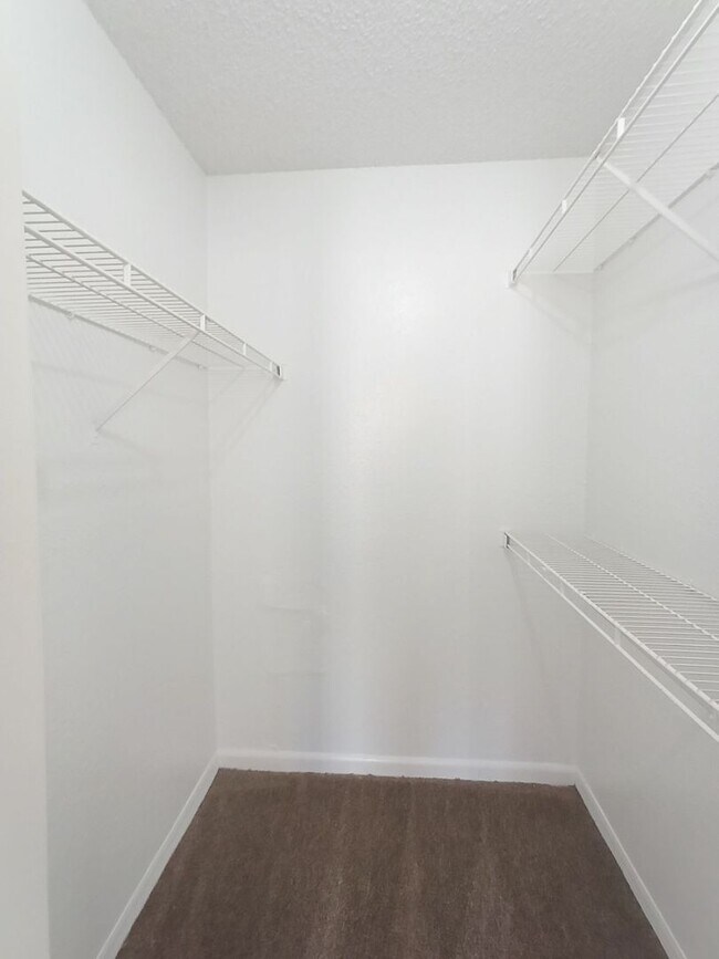 Building Photo - V1113