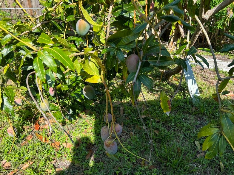 Building Photo - 2714 Grove St