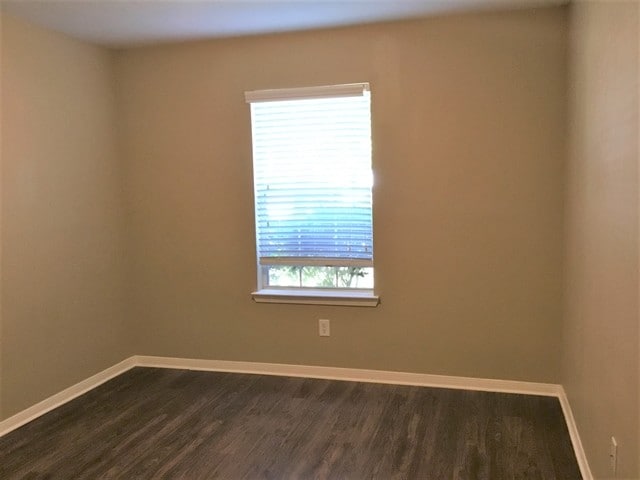 Building Photo - 19343 Grand Colony Ct