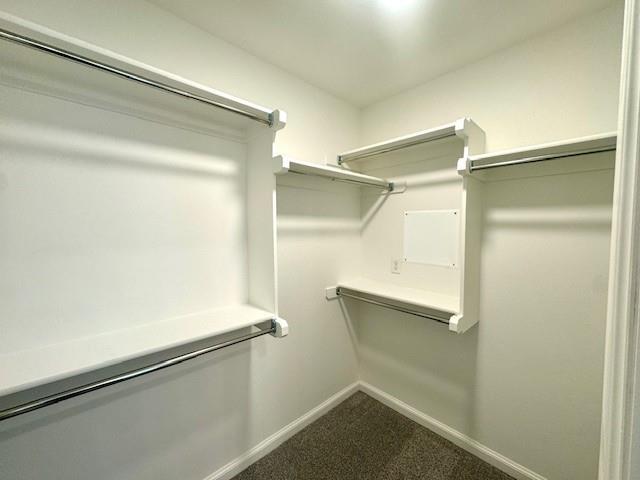 Building Photo - 3125 Mt Nebo Dr