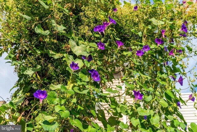 Building Photo - 3120 Tilton St