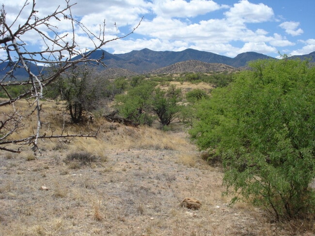 Building Photo - Peaceful Setting in J-Six