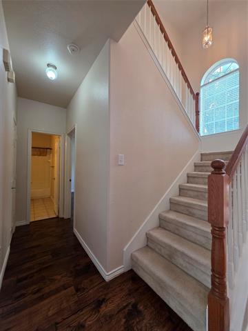 Building Photo - 1701 Balboa Ln