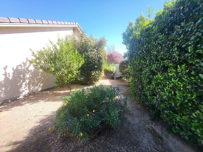 Building Photo - REALLY Cute 4 BR in The Vineyard with RV Parking - 11,000sf Lot + Designer Touches
