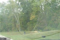 Building Photo - 325 Bald Eagle Way