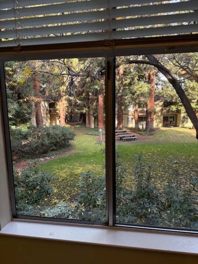 Building Photo - Spacious 1 Bedroom 1 Bath Upstairs Condo with a View