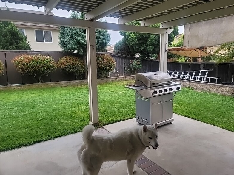 Building Photo - 274 Echo Canyon Pl