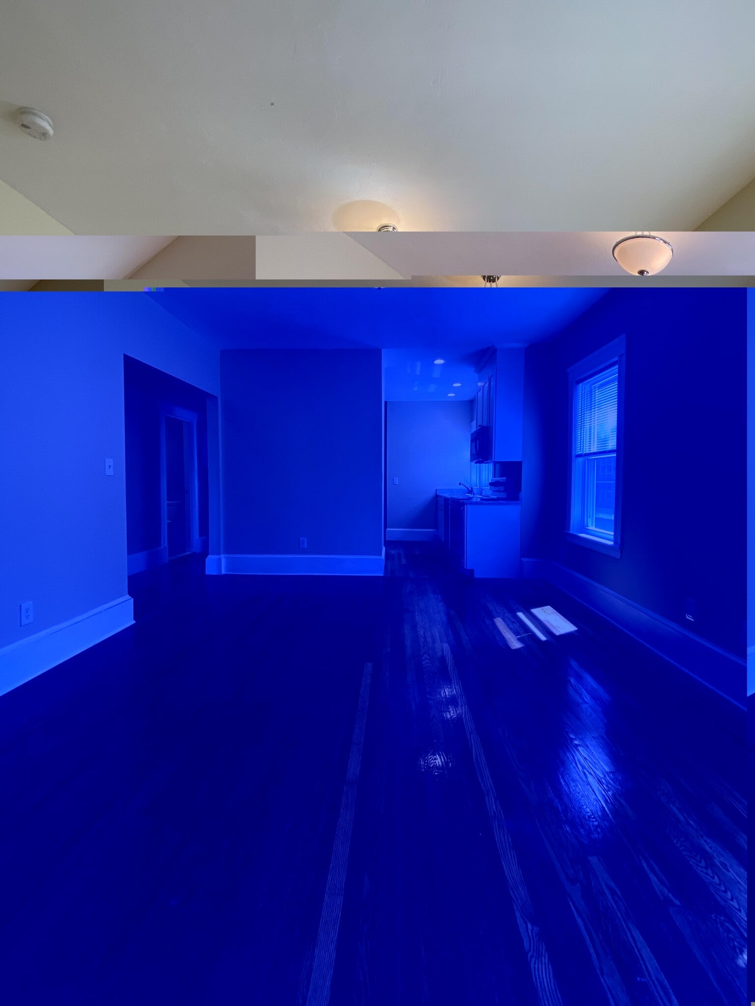 Building Photo - 303 Tappan St