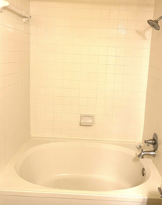 Master bath, large tub/shower - 2009 Bowie Ln